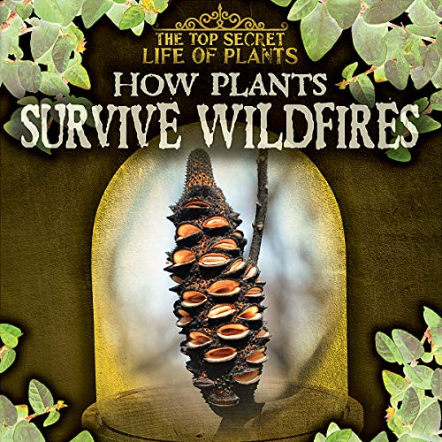 How Plants Survive Wildfires (Top Secret Life of Plants)