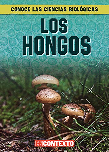 Los hongos/ What Are Fungi? (Conoce las ciencias biológicas/ A Look at Life Science)