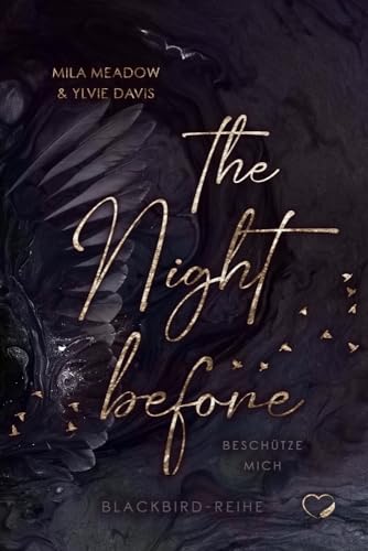 The Night before: Beschütze mich (Romance Suspense) (Blackbird)