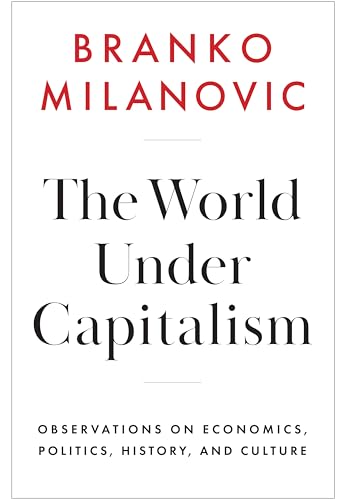 The World Under Capitalism: Observations on Economics, Politics, History, and Culture von Polity
