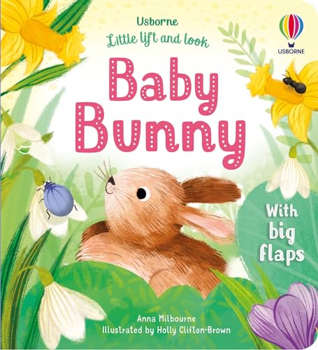 Little Lift and Look Baby Bunny von Usborne