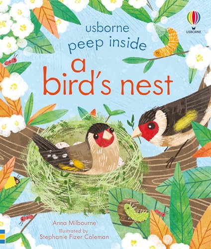 Peep Inside a Bird's Nest von Usborne