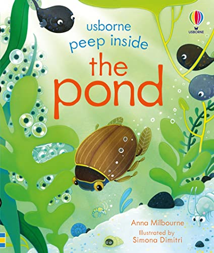 Peep Inside the Pond von Usborne