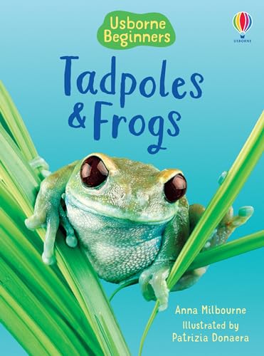 Tadpoles and Frogs (Beginners)