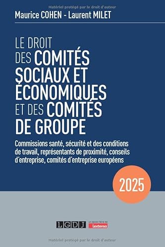 Le droit des comités sociaux et économiques et des comités de groupe (CSE): Commissions santé, sécurité et des conditions de travail, représentants de ... comités d'entreprise européens (2025) von LGDJ