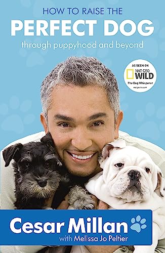 How to Raise the Perfect Dog: through puppyhood and beyond
