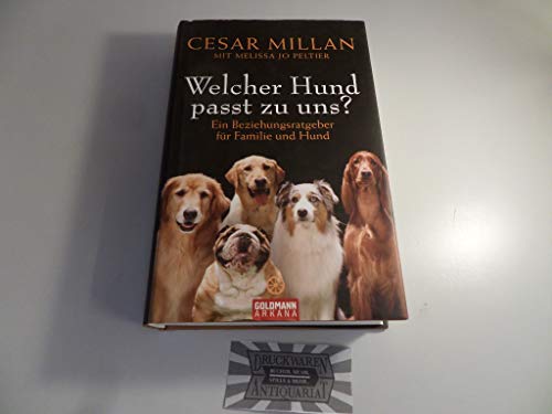 Welcher Hund passt zu uns?: Ein Beziehungsratgeber für Familie und Hund Welcher Hund passt zu uns?: Ein Beziehungsratgeber für Familie und Hund