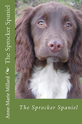 The Sprocker Spaniel - extended edition: Everything you need to know from pup to dog von CREATESPACE