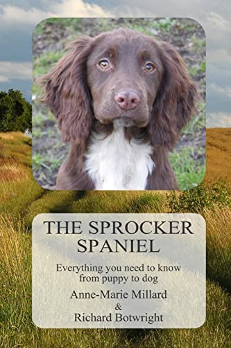 The Sprocker Spaniel: Everything you need to know from puppy to dog von CREATESPACE