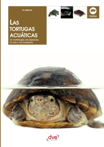 Las tortugas acuáticas von Crossways Consulting