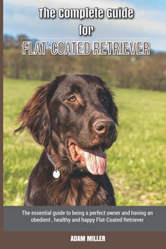 The Complete Guide for Flat-Coated Retriever: The essential guide to being a perfect owner and having an obedient, healthy, and happy Flat-Coated Retriever von Independently published