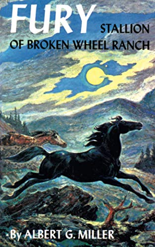 Fury: Stallion of Broken Wheel Ranch von Wildside Press