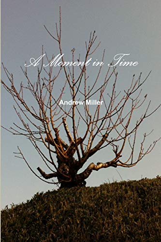 A Moment in Time von Lulu