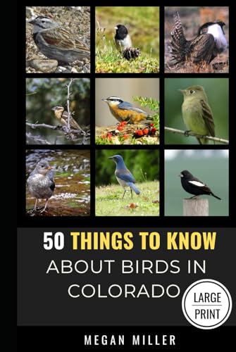 50 Things to Know About Birds in Colorado Large Print: Birding the Centennial State (50 Things to Know About Birds - Large Print Series, Band 3) von Independently published