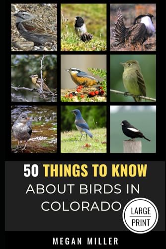 50 Things to Know About Birds in Colorado Large Print: Birding the Centennial State (50 Things to Know About Birds - Large Print Series, Band 3) von Independently published