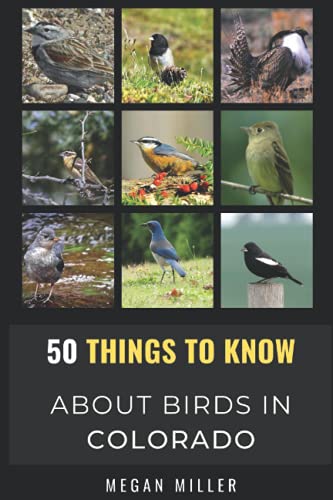 50 Things to Know About Birds in Colorado: Birding the Centennial State (50 Things to Know About Birds- United States, Band 4) von Independently published