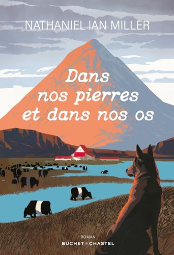 Dans nos pierres et dans nos os von BUCHET CHASTEL