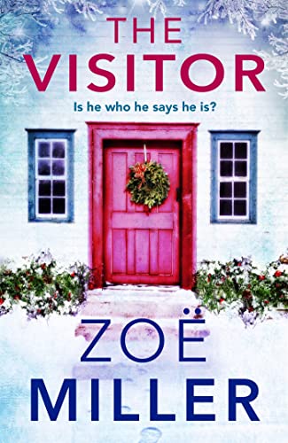 The Visitor: a twisty, suspenseful page-turner