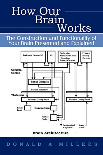 How Our Brain Works: The Construction And Functionality Of Your Brain Presented And Explained von iUniverse.com