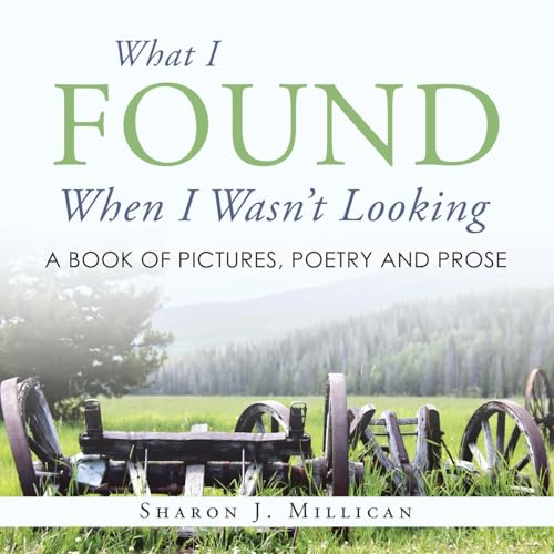 What I Found When I Wasn't Looking: A Book of Pictures, Poetry and Prose von WestBow Press