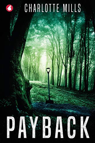 Payback von Ylva Verlag E.Kfr.