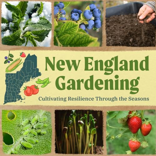 New England Gardening: Cultivating Resilience Through the Seasons von Independently published
