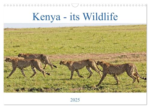 Kenya - its Wildlife (Wall Calendar 2025 DIN A3 landscape), CALVENDO 12 Month Wall Calendar: Kenya's exotic wild animals and birds von Calvendo