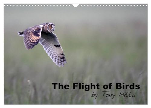 The Flight of Birds (Wall Calendar 2025 DIN A3 landscape), CALVENDO 12 Month Wall Calendar: Photographs of birds captured in flight von Calvendo