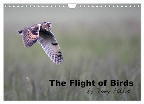 The Flight of Birds (Wall Calendar 2025 DIN A4 landscape), CALVENDO 12 Month Wall Calendar: Photographs of birds captured in flight von Calvendo