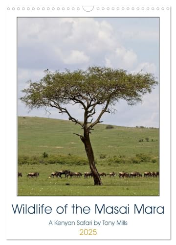 Wildlife of the Masai Mara (Wall Calendar 2025 DIN A3 portrait), CALVENDO 12 Month Wall Calendar: Animals of the Masai Mara, Kenya. von Calvendo