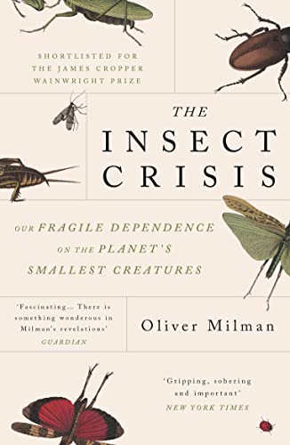 The Insect Crisis: Our Fragile Dependence on the Planet's Smallest Creatures von Atlantic Books
