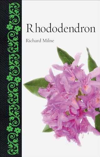 Rhododendron (Botanical)