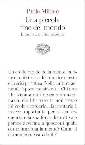 Una piccola fine del mondo. Intorno alla crisi psicotica (Vele)