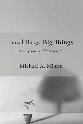 Small Things, Big Things: Inspiring Stories of Everyday Grace von Wipf & Stock Publishers