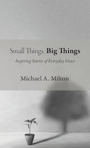 Small Things, Big Things: Inspiring Stories of Everyday Grace Small Things, Big Things: Inspiring Stories of Everyday Grace von Wipf and Stock