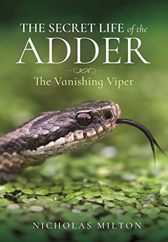 The Secret Life of the Adder: The Vanishing Viper von White Owl