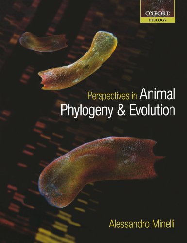 Perspectives in Animal Phylogeny and Evolution von Oxford University Press