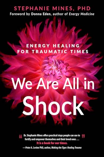 We Are All in Shock: Energy Healing for Traumatic Times von New Page Books
