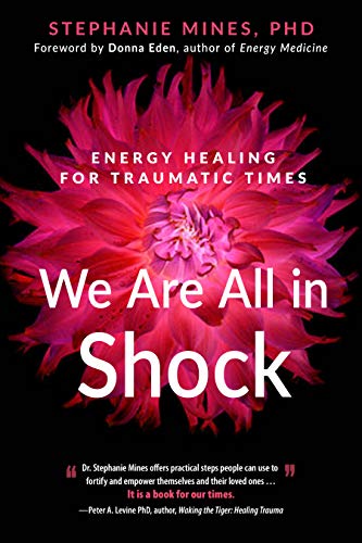 We Are All in Shock: Energy Healing for Traumatic Times von New Page Books