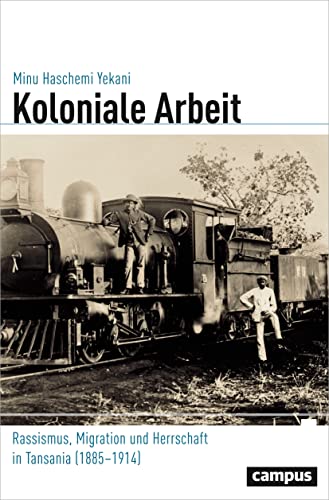 Koloniale Arbeit: Rassismus, Migration und Herrschaft in Tansania (1885-1914) (Globalgeschichte, 24)