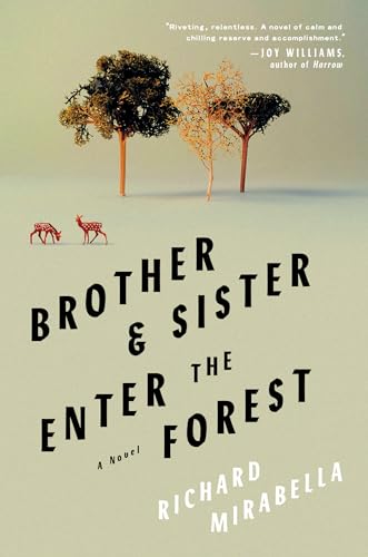 Brother & Sister Enter the Forest: A Novel von CATAPULT