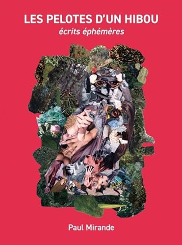 LES PELOTES D'UN HIBOU: écrits éphémères von Brave New Books