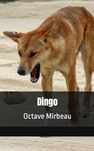 Dingo: Octave Mirbeau von Independently published