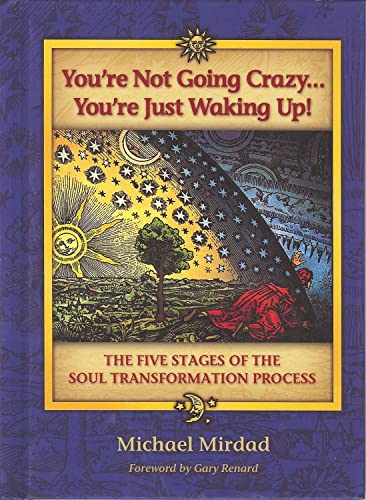 You're Not Going Crazy... You're Just Waking Up!: The Five Stages of the Soul Transformation Process: The Five Stages of Soul Transformation Process