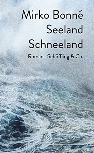 Seeland Schneeland: Roman von Schoeffling + Co.