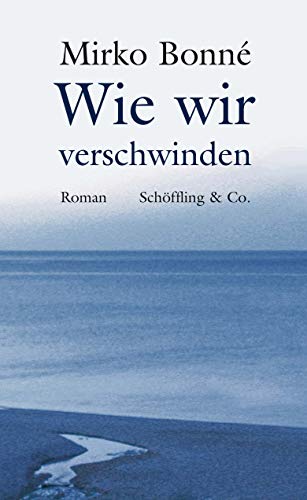 Wie wir verschwinden: Roman