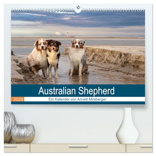 Australian Shepherd 2025 (hochwertiger Premium Wandkalender 2025 DIN A2 quer), Kunstdruck in Hochglanz von CALVENDO