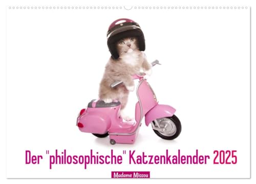 Der "philosophische" Katzenkalender 2025 (Wandkalender 2025 DIN A2 quer), CALVENDO Monatskalender: Lustige Zitate, die von Katzen stammen könnten von Calvendo