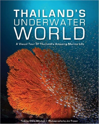 Thailand's Underwater World