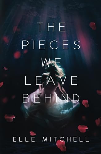 The Pieces We Leave Behind (Lost Hollow, Band 1)